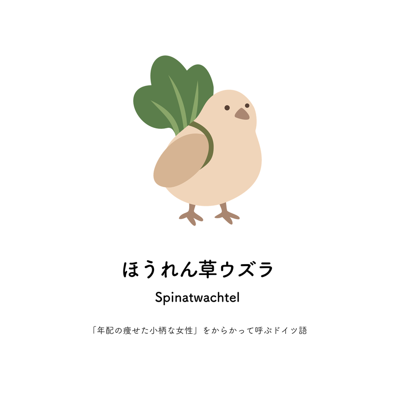 ほうれん草ウズラ